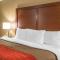 Comfort Inn Biltmore West
