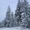 Top Ferienwohnung am Diemelsee, Sauerland Nähe Willingen Winterb