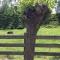 B&B de Tol - Hulst