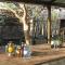 Etosha Village Campsite