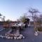 Etosha Village Campsite