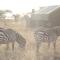Kananga Special Tented Camp