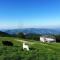 Casa Titina Riposo e Relax nella campagna toscana