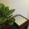 Apartament mit Balkon
