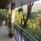 Green Tea View