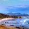 Driftwood Bella Beach