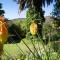 De Oude Meul Country Lodge & Restaurant - Oudtshoorn