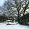 Elm Tree Cottage - 五英里镇