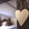 Chalet Jora - Total Chalets - Banszko