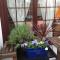 The Laurels Bed and Breakfast
