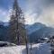 Rose de Noël