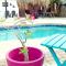 Apartment Curacao