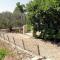 Family friendly seaside apartments Cove Torac, Hvar - 2071