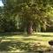 Le Cabanon