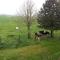 B&B de Rivierduin - Hattem