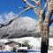 Boutique Hotel Alpenhof