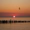 Vakantiewoning Domburg DO31