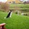 Aille River Tourist Hostel and Camping Doolin - Doolin