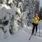 Rekreační domek Kobylnice Lipno - Lipno nad Vltavou