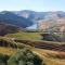Douro House