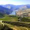 Douro House