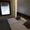 Hotel Olot Centre