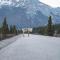 Denali Wild Stay - Redfox Cabin, Free Wifi, private, sleep 6