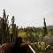 Green Land Bubble Glamping