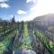 The Setting Inn Willamette Valley - 纽伯格
