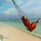 Alesara Guest House - Thoddoo