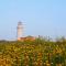 Dahan Sirena lighthouse Luxury Apartment