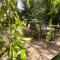 Le Domaine De Pairis