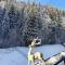 Apartament Ozon Poiana Brasov