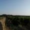 Millot Conilhac