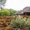 Amafu Forest Lodge