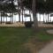 BELVEDERE 2 - Vue MER - Acces Direct Plage