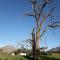 Klipfontein Rustic Farm & Camping