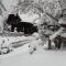 Chalet Teufelsteinblick
