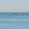 WintowinRentals Views of Dream & Luxury Location