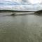 Baie de Somme Cayeux sur mer - Cayeux-sur-Mer