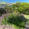 Daisy Cottage on Duke 3BR - Yarram