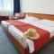 Sagitta All inclusive light