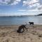 Taurikura Bay Relax and Explore - Whangarei Heads