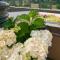 Holiday Inn Express Hotel & Suites North Sequim by IHG
