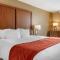 Comfort Inn & Suites Triadelphia - Wheeling
