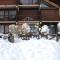 Studio Residence Le Stella