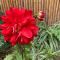 Trang An Moon Garden Homestay
