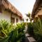 Paredon Surf House