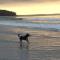 Callala Beach Shack - Pet Friendly