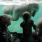 Fletcher Hotel-Restaurant ByZoo Emmen